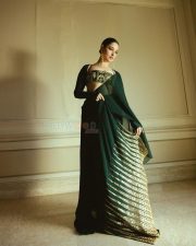 Sexy Tamannaah Bhatia in a Green and Gold Bustier Blouse and Saree Photos 01 Sexy Tamannaah Bhatia in a Green and Gold Bustier Blouse and Saree Photos 01
