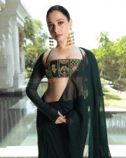 Sexy Tamannaah Bhatia in a Green and Gold Bustier Blouse and Saree Photos 02 Sexy Tamannaah Bhatia in a Green and Gold Bustier Blouse and Saree Photos 02