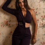 Nidhhi Agerwal 10 Sexy Telugu Actress Nidhhi Agerwal Photoshoot Pictures