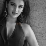 Nidhhi Agerwal 33 Sexy Telugu Actress Nidhhi Agerwal Photoshoot Pictures