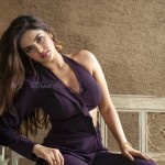 Nidhhi Agerwal 9 Sexy Telugu Actress Nidhhi Agerwal Photoshoot Pictures