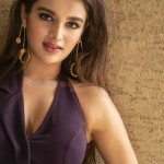Nidhhi Agerwal 31 Sexy Telugu Actress Nidhhi Agerwal Photoshoot Pictures