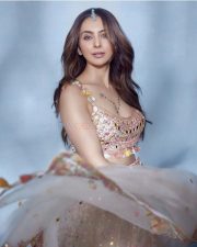 Shining Beauty Rakul Preet Singh in Mirror Work Lehenga and Net Dupatta at the Bombay Times Fashion Week Photos 02 Shining Beauty Rakul Preet Singh in Mirror Work Lehenga and Net Dupatta at the Bombay Times Fashion Week Photos 02