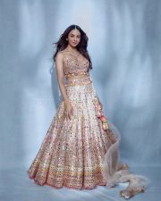 Shining Beauty Rakul Preet Singh in Mirror Work Lehenga and Net Dupatta at the Bombay Times Fashion Week Photos 03 Shining Beauty Rakul Preet Singh in Mirror Work Lehenga and Net Dupatta at the Bombay Times Fashion Week Photos 03
