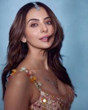 Shining Beauty Rakul Preet Singh in Mirror Work Lehenga and Net Dupatta at the Bombay Times Fashion Week Photos 05 Shining Beauty Rakul Preet Singh in Mirror Work Lehenga and Net Dupatta at the Bombay Times Fashion Week Photos 05