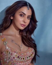 Shining Beauty Rakul Preet Singh in Mirror Work Lehenga and Net Dupatta at the Bombay Times Fashion Week Photos 07 Shining Beauty Rakul Preet Singh in Mirror Work Lehenga and Net Dupatta at the Bombay Times Fashion Week Photos 07