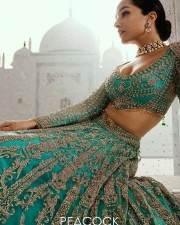 Shraddha Kapoor Peacock Magazine Photo 01 Shraddha Kapoor Peacock Magazine Photo 01