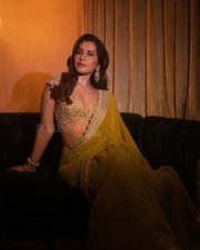 Sizzling Glam Raashi Khanna in a Mustard Yellow Saree with a Golden Floral Embroidered Blouse Pictures 03