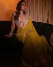 Sizzling Glam Raashi Khanna in a Mustard Yellow Saree with a Golden Floral Embroidered Blouse Pictures 04