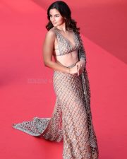 Sizzling Hot Alia Bhatt in a Transparent Netted Saree at Cannes Film Festival Pictures 04