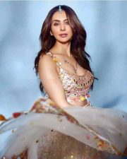 Sizzling Hot Rakul Preet Singh in a Mirror Work Lehenga Photos 02 Sizzling Hot Rakul Preet Singh in a Mirror Work Lehenga Photos 02
