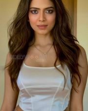 Sizzling Malavika Mohanan Navel in a Silver Crop Top Pictures 03 Sizzling Malavika Mohanan Navel in a Silver Crop Top Pictures 03