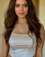Sizzling Malavika Mohanan Navel in a Silver Crop Top Pictures 03