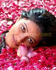 Sneha Actress Stills