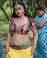Sonia Agarwal 15 Sonia Agarwal Hot Cleavage Photos