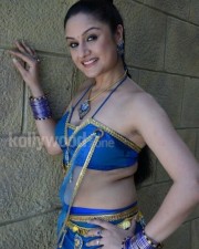 Sonia Agarwal 4 Sonia Agarwal Hot Sexy Pictures