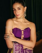 Sophisticated Actress Alia Bhatt in a Purple Strapless Blouse Saree Photos 01