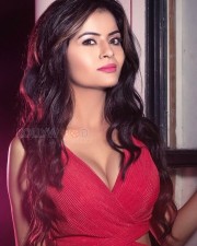 South Actress Gehana Vasisth Hot Photos