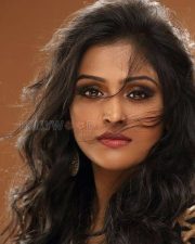 South Actress Remya Nambeesan Photoshoot Pictures
