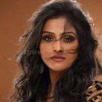 Remya Nambeesan 34