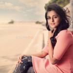 Remya Nambeesan 30
