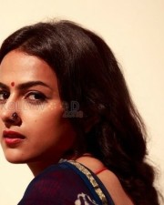 South Actress Shraddha Srinath Photos