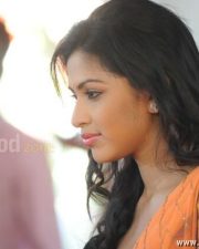 South Indian Actress Amala Paul Photos