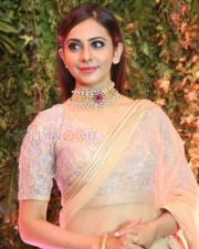 South Indian Actress Rakul Preet Singh Saree Photos