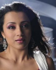 South Indian Actress Trisha Sexy Pictures