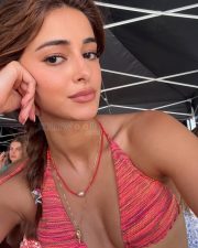 Spellbinding Ananya Panday in a Halter Neck Bikini Top Pictures 03
