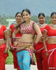 Spicy Anushka Pictures