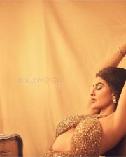 Srilankan Beauty Jacqueline Fernandez Hot Dressing Room Photoshoot Pictures 01