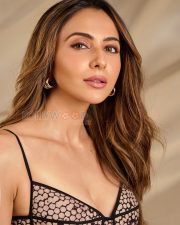 Striking Actress Rakul Preet Singh in a Black and Beige Leopard Spot Corset Top Photos 02