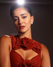 Stunning Ananya Panday in a Red Rust Colored Bodycon Dress with a Floral Cutout Photos 03