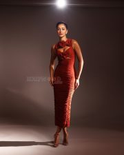 Stunning Ananya Panday in a Red Rust Colored Bodycon Dress with a Floral Cutout Photos 04