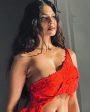 Stunning Beauty Malavika Mohanan Navel in a Red Dress Picture 01