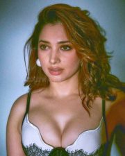 Stunning Beauty Tamannaah Bhatia in a Pushup Boobs Dress Photos 01