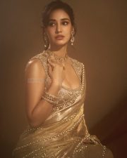 Stunning Indian Actress Disha Patani in a Gold Colored Saree with a Matching Embroidered Sleeveless Blouse Photos 05