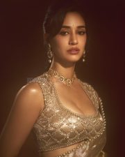 Stunning Indian Actress Disha Patani in a Gold Colored Saree with a Matching Embroidered Sleeveless Blouse Photos 07