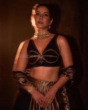 Stunning Raashi Khanna in a Black and Gold Lehenga Photos 01