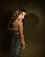 Stunning Rakul Preet Singh in a Grey Strapless Corset Top and Skirt Photos 02