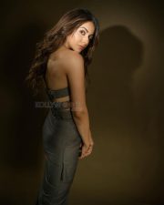 Stunning Rakul Preet Singh in a Grey Strapless Corset Top and Skirt Pictures 05