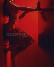 Stunning Sexy Beauty Jacqueline Fernandez Photoshoot Pictures 04