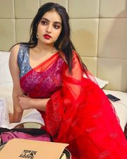Stylish Malavika Menon in a Red Transparent Saree Pictures 04