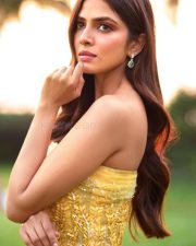 Stylish Malavika Mohanan in a Yellow Long Gown Pictures 01 Stylish Malavika Mohanan in a Yellow Long Gown Pictures 01