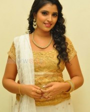 Syamala At Ramleela Audio Launch Photos