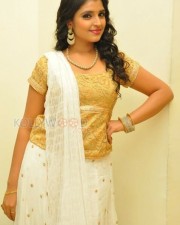 Syamala At Ramleela Audio Launch Photos