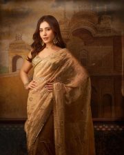 Talaakhon Mein Ek Actress Raashi Khanna in a Golden Tissue Saree with Embellished Sleeveless Blouse Photos 01 Talaakhon Mein Ek Actress Raashi Khanna in a Golden Tissue Saree with Embellished Sleeveless Blouse Photos 01