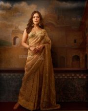 Talaakhon Mein Ek Actress Raashi Khanna in a Golden Tissue Saree with Embellished Sleeveless Blouse Photos 04 Talaakhon Mein Ek Actress Raashi Khanna in a Golden Tissue Saree with Embellished Sleeveless Blouse Photos 04