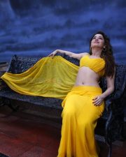 Tamanna Bhatia Sexy Pictures 11